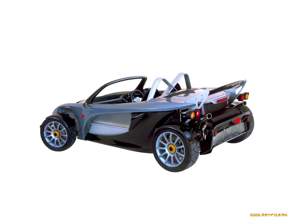 lotus, 